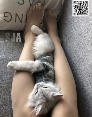 giga特摄战队