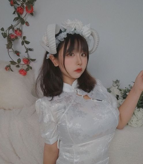 《警花与警犬》主演