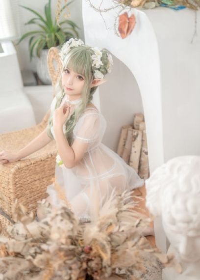 功夫小蝇