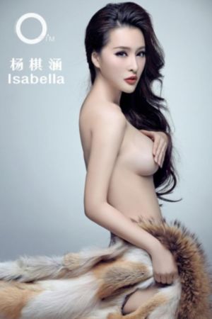 中国高清windows视频播放器