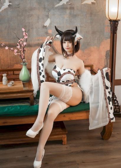 半夏电视剧