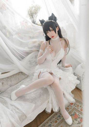 北辙南辕电视剧免费观看完整版