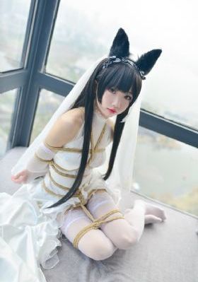 playboyy电视剧在线