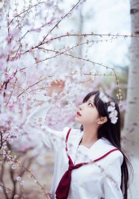 在线成人免费观看